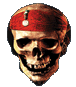 Motion Pirates of the Caribbean Pick - Skull